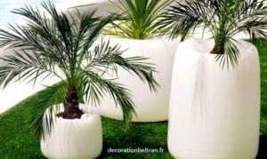 Collection ORGANIQUE Rond