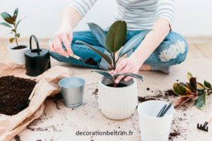Des pots de fleurs pour prendre soin de vos plantes