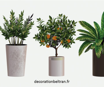 Entre style et fonctionnalité : Comment choisir ses pots de fleurs ?